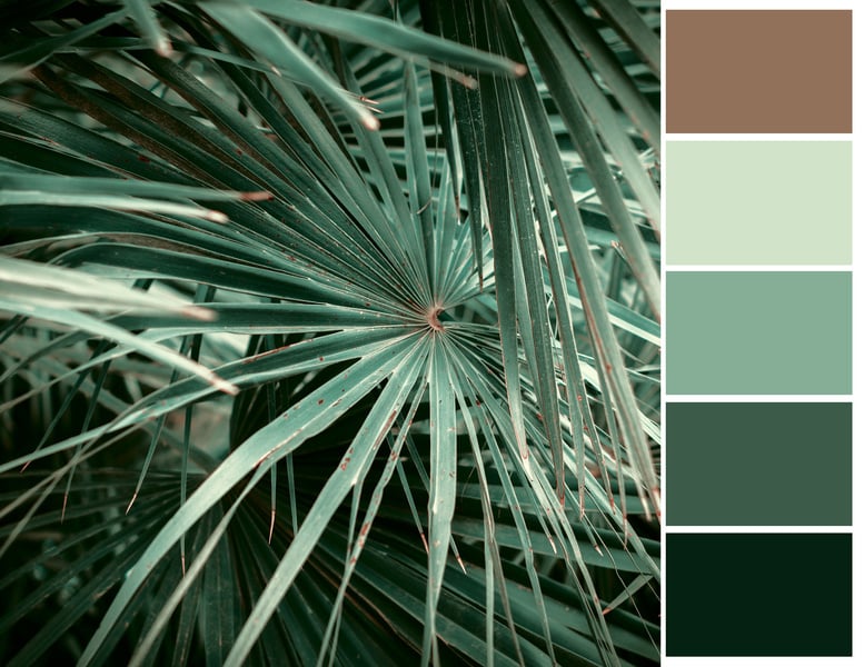 Palm leaves color palette.