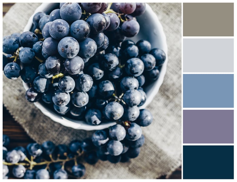 Grape color palette.